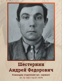 Шестернин Андрей Фёдорович