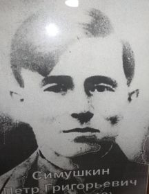 Симушкин Петр Григорьевич