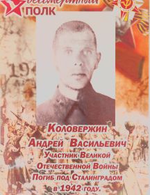 Коловержин Андрей Васильевич