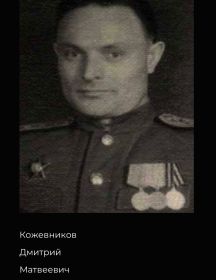 Кожевников Дмитрий Матвеевич