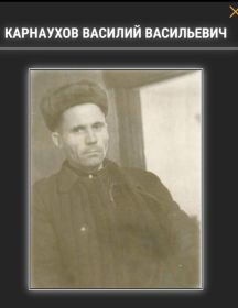 Карнаухов Василий Васильевич