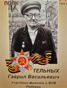 Тельных Гаврил Васильевич