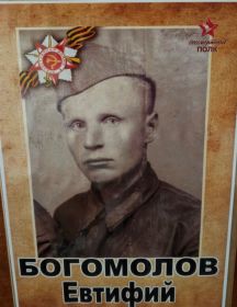 Богомолов Евтифий 