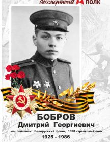 Бобров Дмитрий Георгиевич