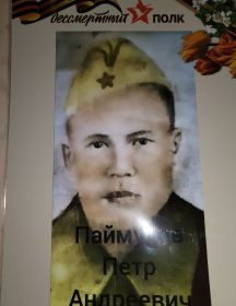 Паймулов Петр Андреевич