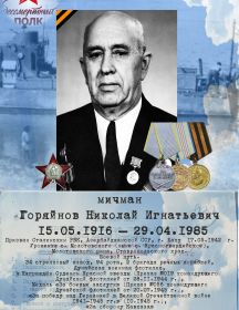 Горяйнов Николай Игнатьевич