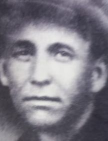 Дикий Василий Фёдорович