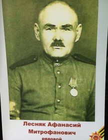 Лесняк Афанасий Митрофанович