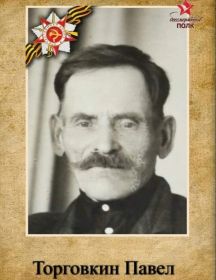 Торговкин Павел 