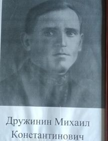 Дружинин Михаил Константинович
