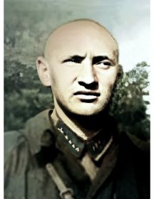 Бирюков Евгений Степанович