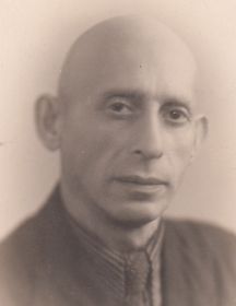 Швецкий Аркадий Евсеевич