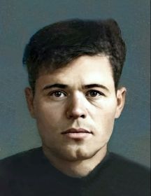 Никитин Анатолий Павлович
