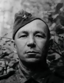 Бибиков Степан Афанасьевич