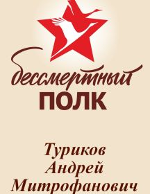Туриков Андрей Митрофанович