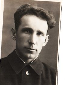 Никитенко Владимир Ефимович