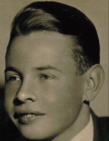 Стрельников Николай Иванович