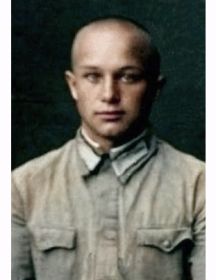 Литвинов Николай Никифорович