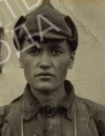 Земсков Михаил Алексеевич