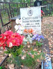 Смородин Николай Григорьевич