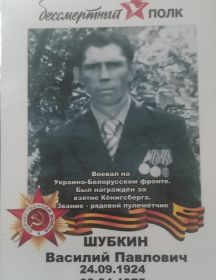 Шубкин Василий Павлович