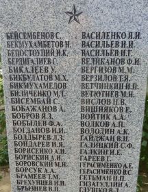 Ветютнев Матвей Никифорович
