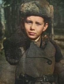 Бебех Владимир Павлович