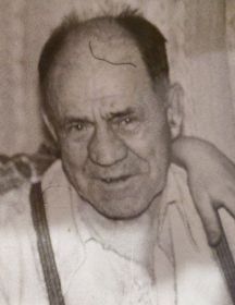 Никитин Василий Устинович