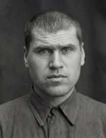 Мутовин Дмитрий Илларионович