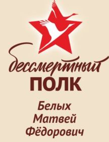 Белых Матвей Фёдорович