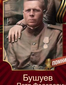 Бушуев Петр Федорович