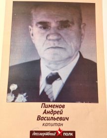 Пименов Андрей Васильевич