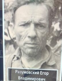 Разумовский Егор Владимирович