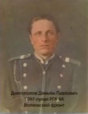 Долгополов Демьян Павлович