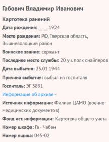 Габович Владимир Иванович