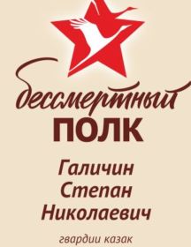 Галичин Степан Николаевич