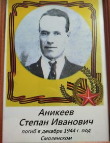 Аникеев Степан Иванович