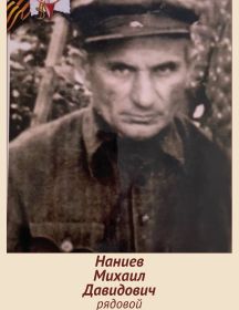 Наниев Михаил Давыдович