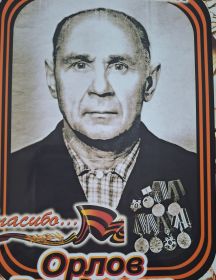 Орлов Владимир Васильевич