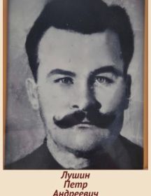 Лушин Петр Андреевич