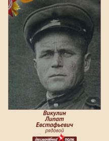 Викулин Липат Евстафьевич