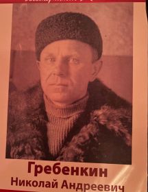 Гребенкин Николай Андреевич