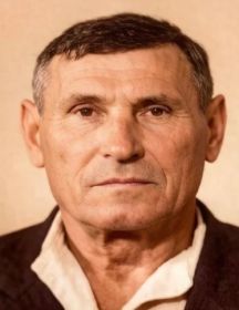 Голубчиков Николай Архипович