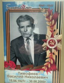 Тимофеев Василий Николаевич