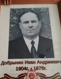 Добрынин Иван Андреевич