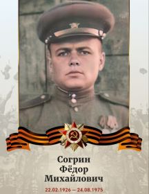 Согрин Фёдор Михайлович