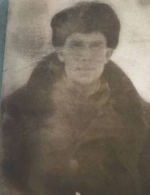 Будников Михаил Прокопьевич
