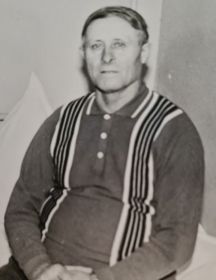 Политика Дмитрий Алексеевич