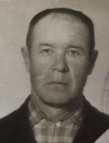 Лузин Иван Георгиевич