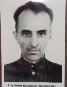Шумеев Василий Николаевич